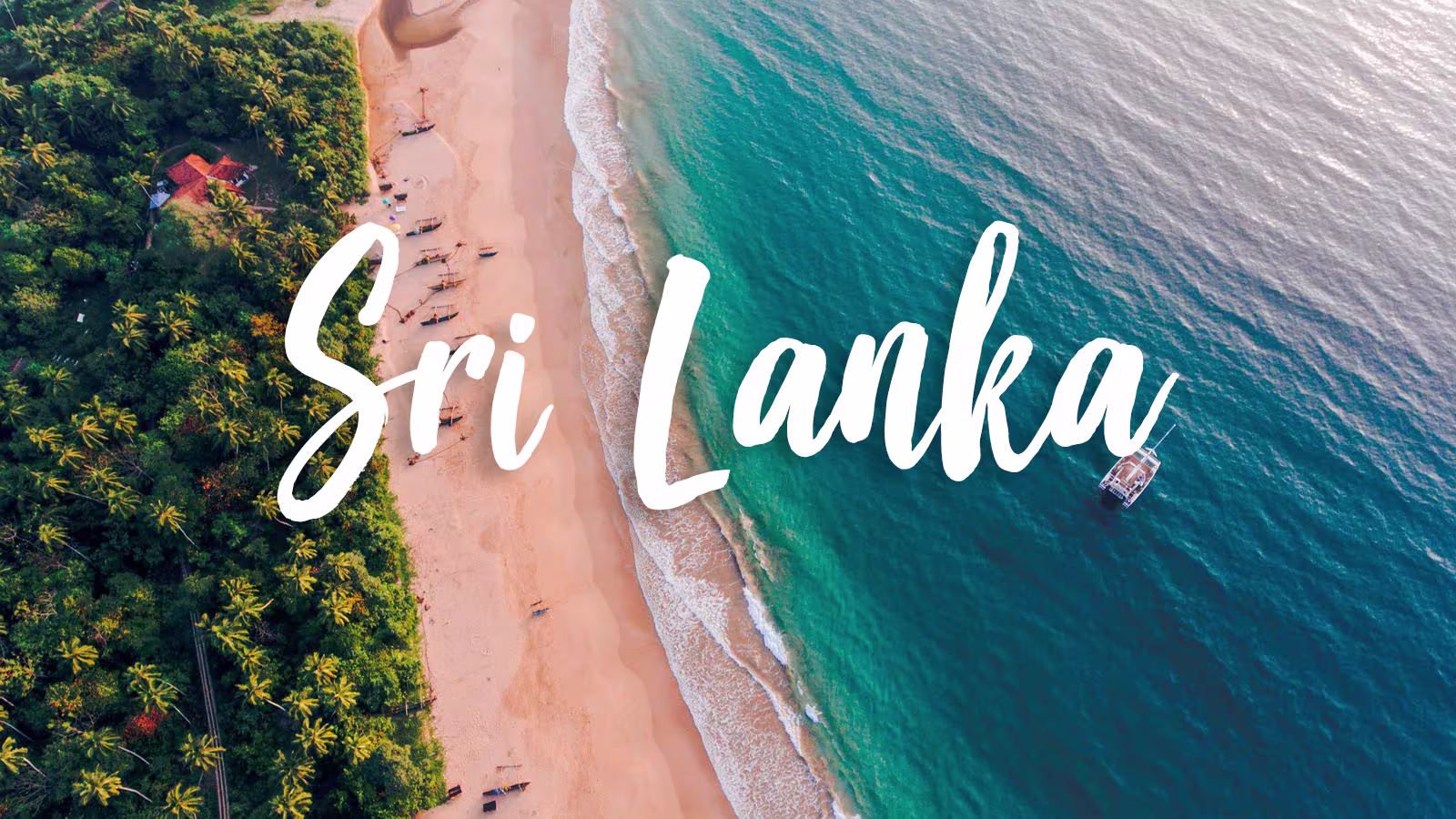 Top 5 Unique Incentive Travel Experiences for Corporate Teams in Sri Lanka