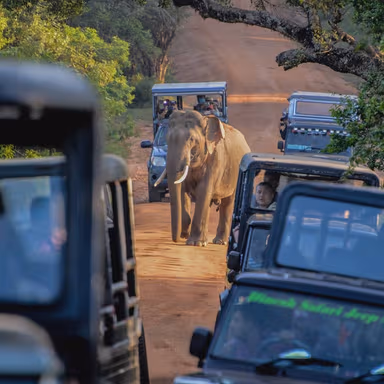 Sri Lanka tour packages 2027