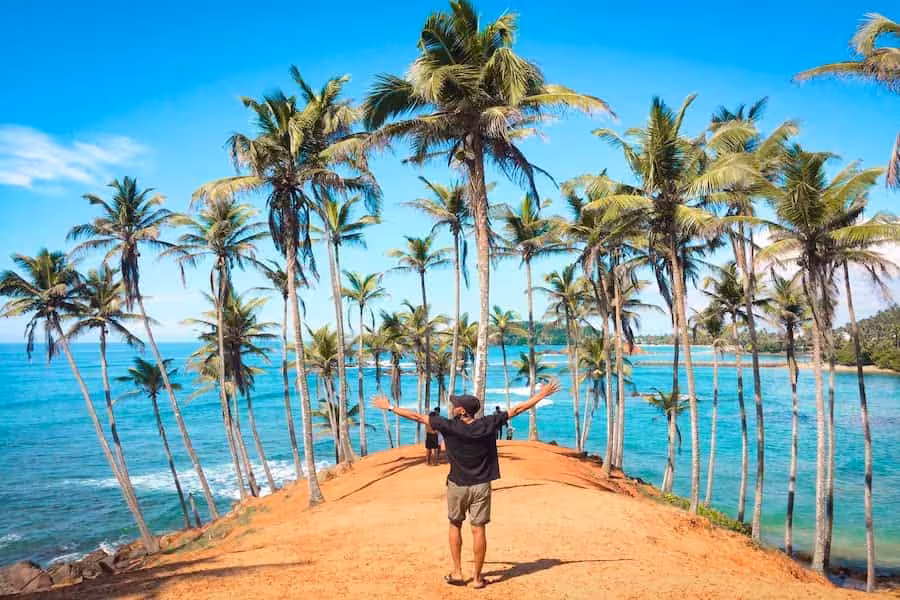 Special tours to Sri Lanaka
