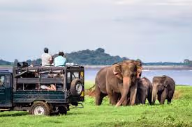 Sigiriya Rock Fortress