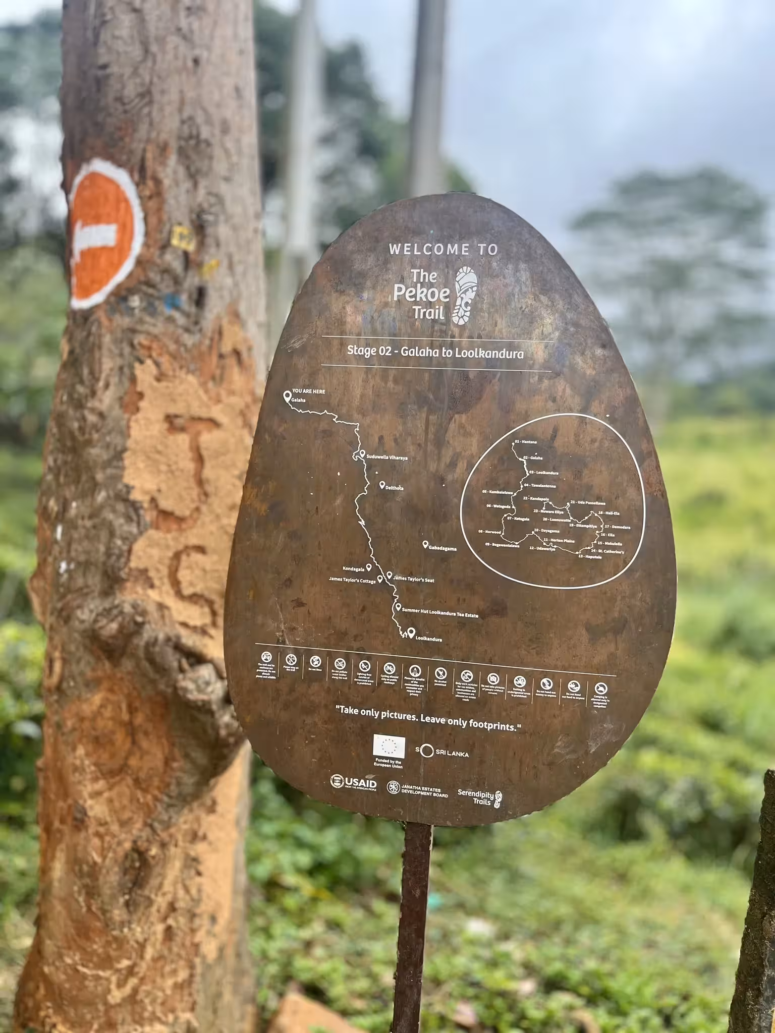 Sigiriya Rock Fortress