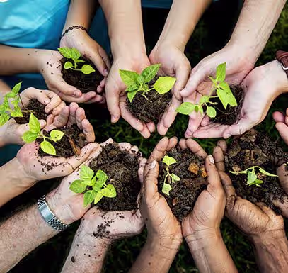 Eco-friendly travel in Sri Lanka with travelers supporting nature and local communities